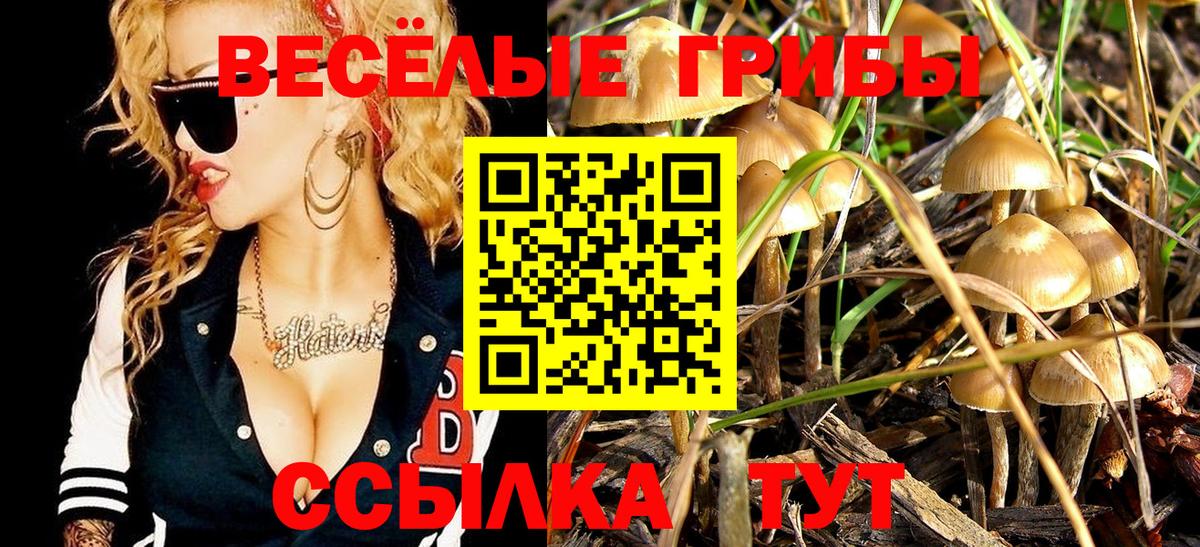 Балабаново  Псилоцибиновые грибы прущие грибы  сколько стоит  Вход с VPN 