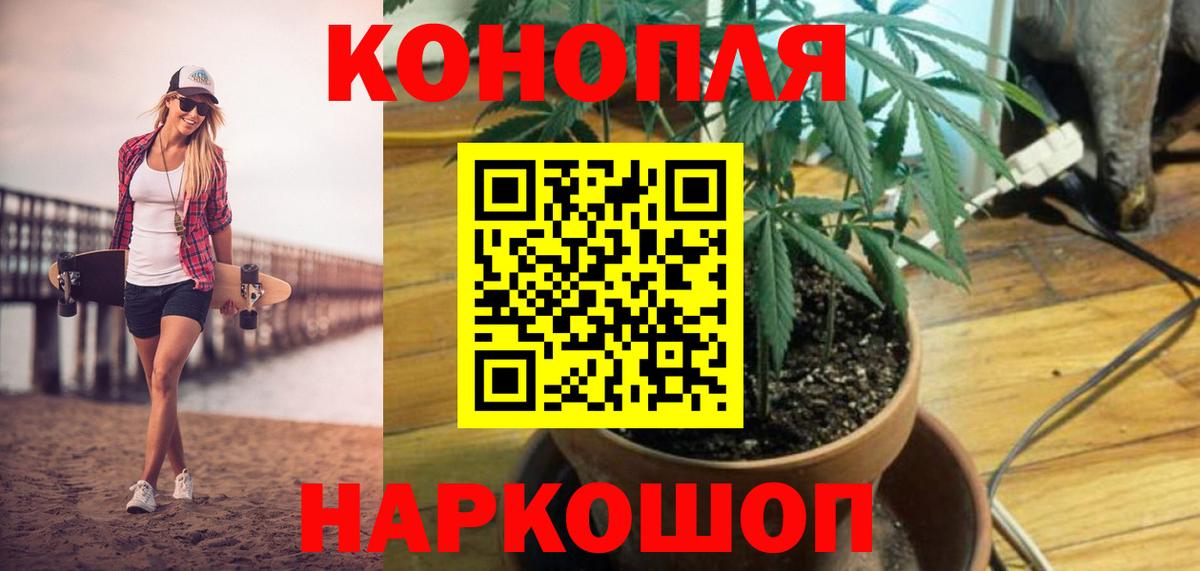 Шишки марихуана гибрид Балабаново